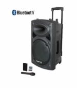 Enceinte Bluetooth D-12 - Jiepak - + 2 Micros - Noir