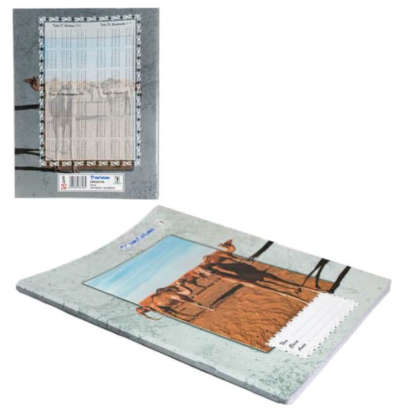10 Cahiers de 192 pages - Sinarline