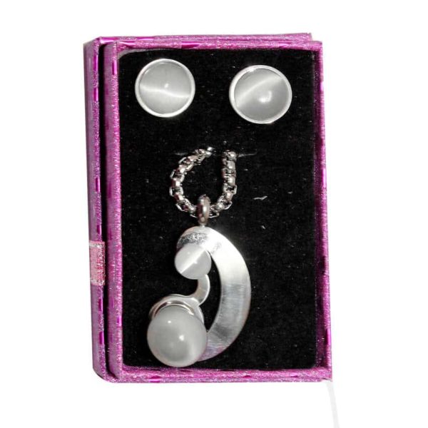 Ensemble collier + boucle d’oreille en inox - Argenté