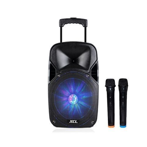 ICONA Baffle Professionnel Bluetooth Sans Fil - Avec 2 Micro - Noir