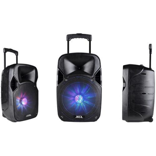 ICONA Baffle Professionnel Bluetooth Sans Fil - Avec 2 Micro - Noir – Image 2