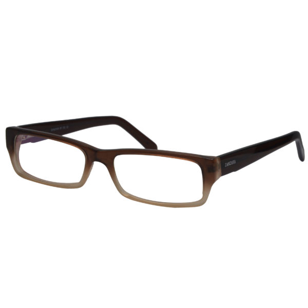 Lunettes de vue Z1391 C3 53-16-140 homme - Marron