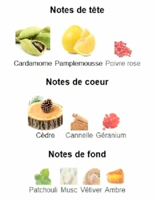 Pascal Morabito pour homme - Eau de toilette Pompei - 100 ml – Image 3