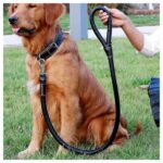 Laisse De Chien En Cuir Synthétique