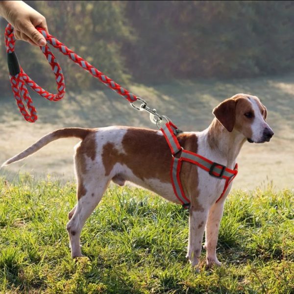 Chaîne De Corde De Sécurité De Chien - Rouge