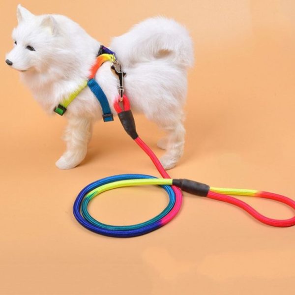 Laisse Chien De Traction