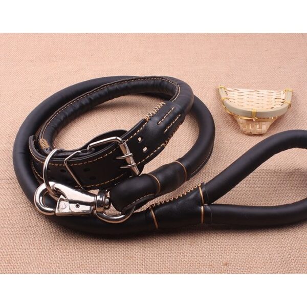 Laisse De Chien En Cuir