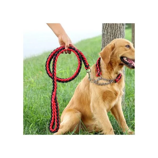 Laisse Pour Chien Avec Muselière - Selon La Couleur Disponible
