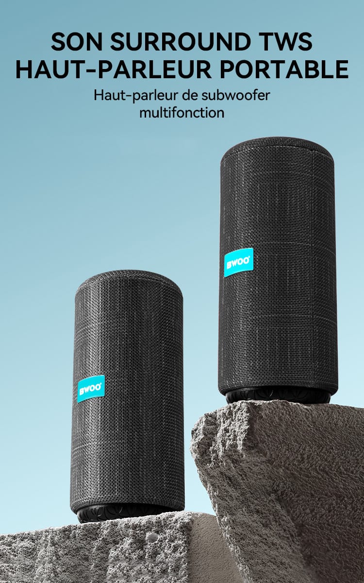 Haut-parleur Bluetooth sans fil BWOO BS-52 - Noir