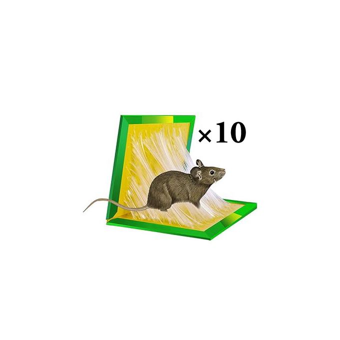 Piège à Colle Pour Souris10 Piège à Colle Pour Souris X10 – Image 1