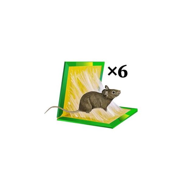 Piège à Colle Pour Souris X6
