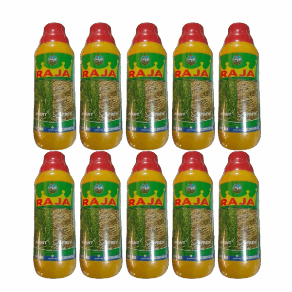 Herbicide Total - RAJA 480 SL - 1 Carton De 10 Bidon