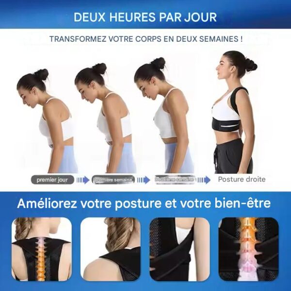 Ceintures lombaires Taille 2XL, 3XL