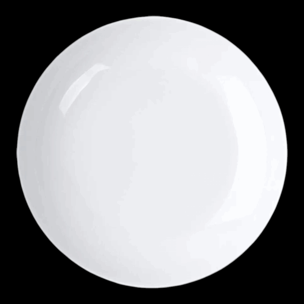 Assiette Melamine lot de 2