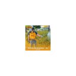 Ingco PULVERISATEUR A DOS 16L HSPP41602 – Image 2